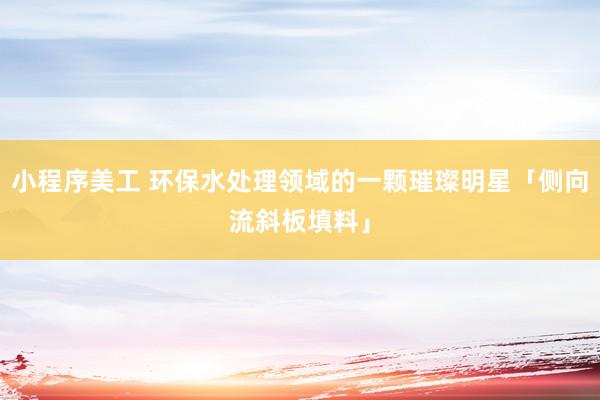 小程序美工 环保水处理领域的一颗璀璨明星「侧向流斜板填料」